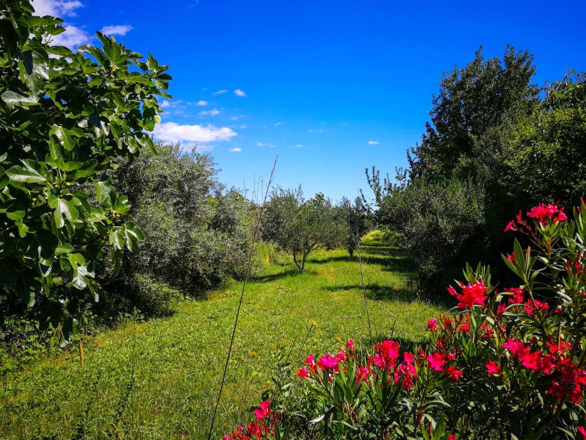 Ecohouse Oliveglia Villa ชิโล ภายนอก รูปภาพ
