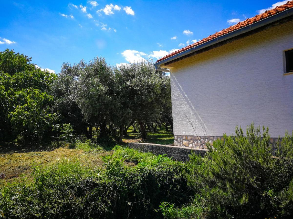 Ecohouse Oliveglia Villa ชิโล ภายนอก รูปภาพ